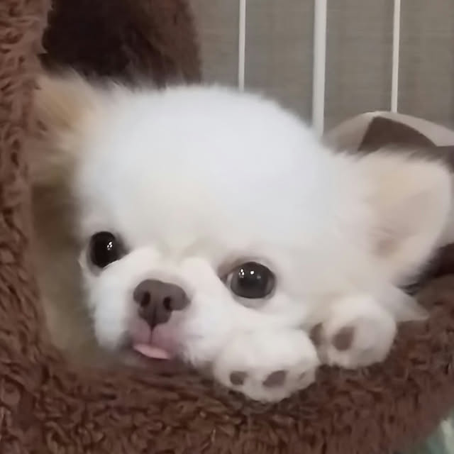 kuuさんの実例写真