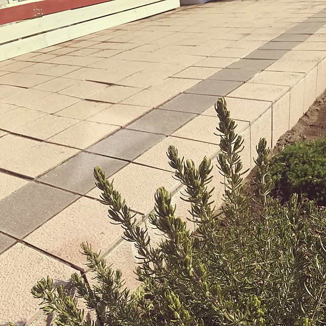 yuakimamさんの実例写真