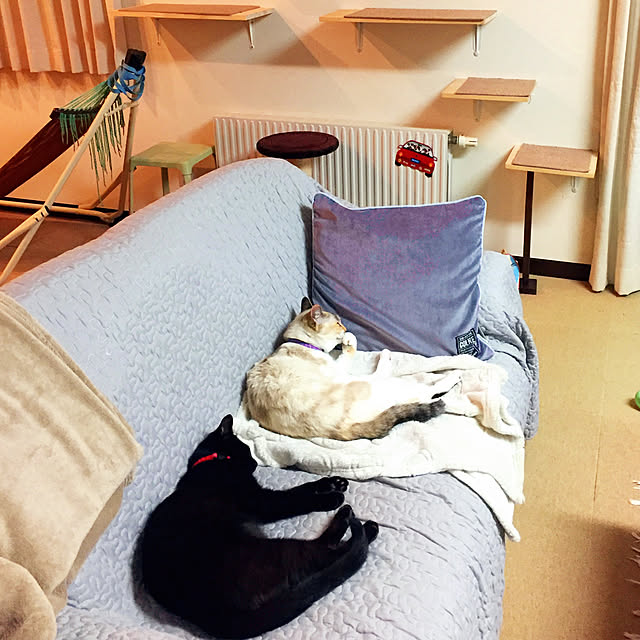 nanaさんの実例写真