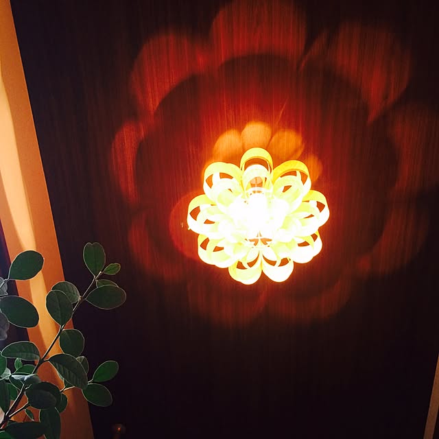 nokonokoさんの実例写真