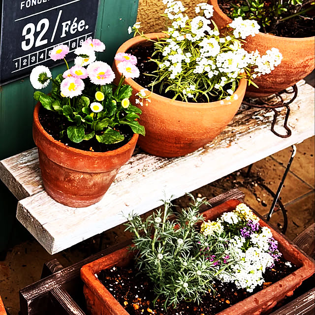 naokoさんの部屋