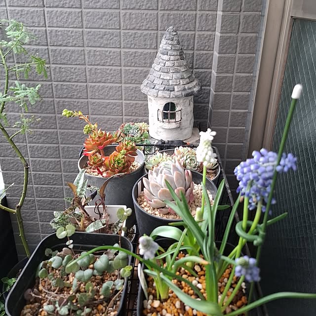 noaさんの実例写真