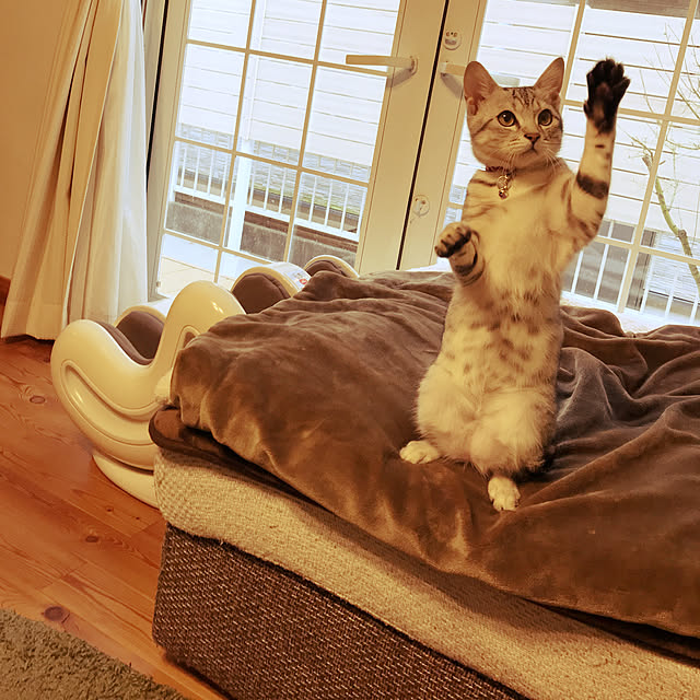 mako0301さんの実例写真
