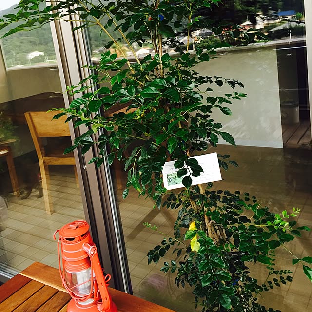Kumikoさんの実例写真