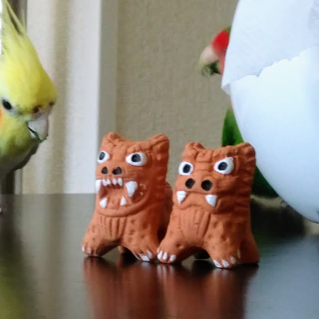 toratanさんの実例写真