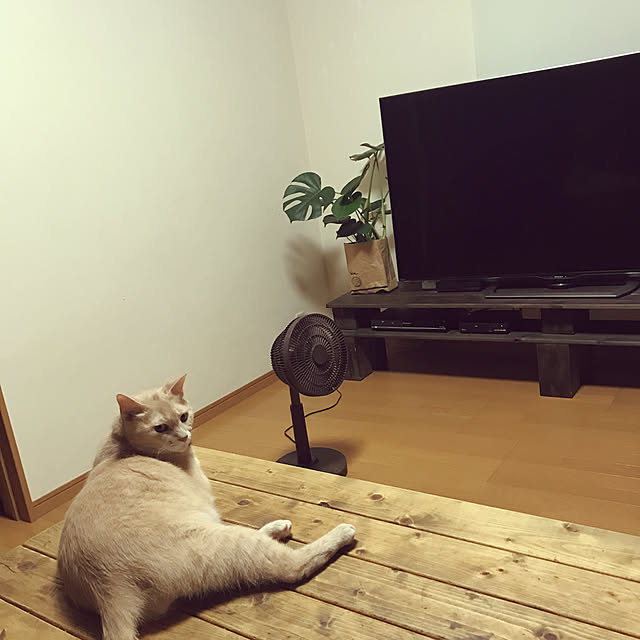 mikan161さんの実例写真