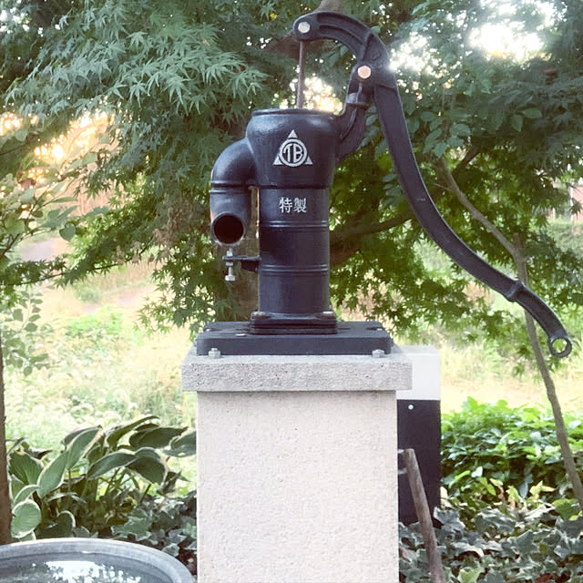 igukenさんの実例写真