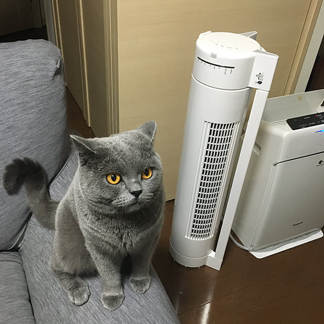 kittyさんの実例写真