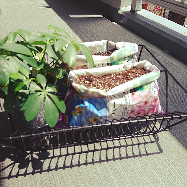 minさんの実例写真