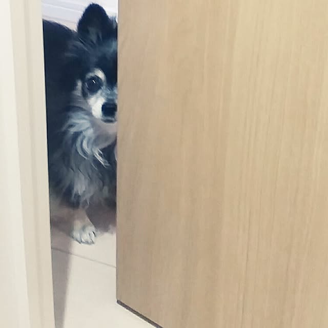 nia1213さんの実例写真