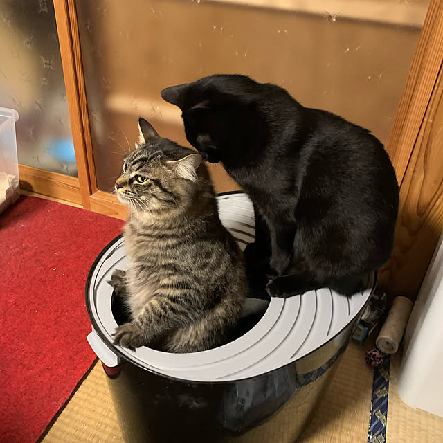 ykkさんの実例写真