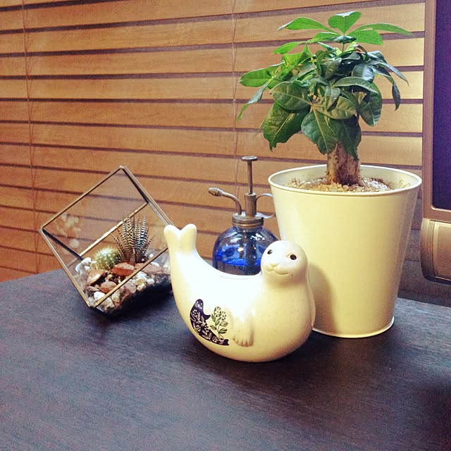 Yukoさんの実例写真