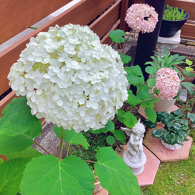 haruminさんの実例写真