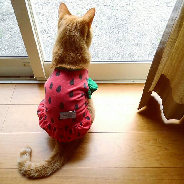 mayutan.さんの実例写真