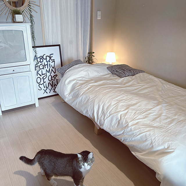 nekomiさんの実例写真