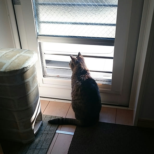 aisuさんの実例写真
