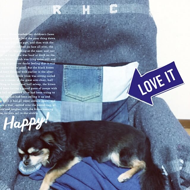 b.e.a.c.h...さんの実例写真
