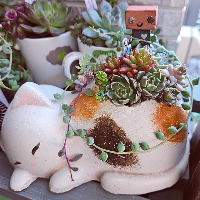 mocomocoさんの実例写真