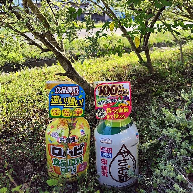 marronさんの実例写真