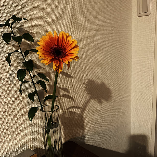 IKEA/一人暮らし/机のインテリア実例 - 2022-10-13 21:10:36