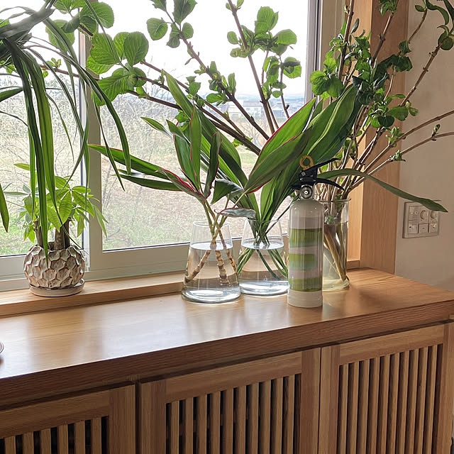 hira_muji_mihiさんの実例写真