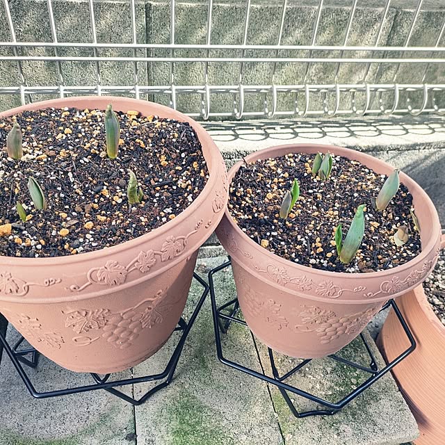 Shion+さんの部屋