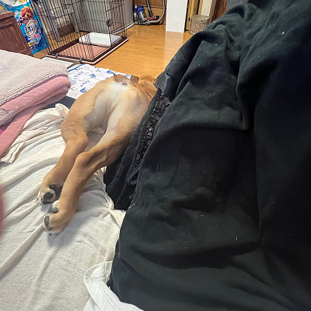 chi_gogaさんの部屋