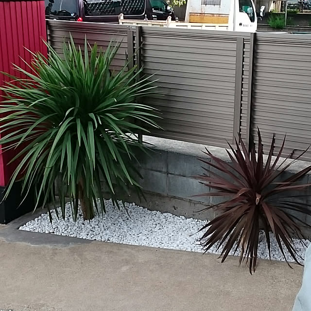 実例写真