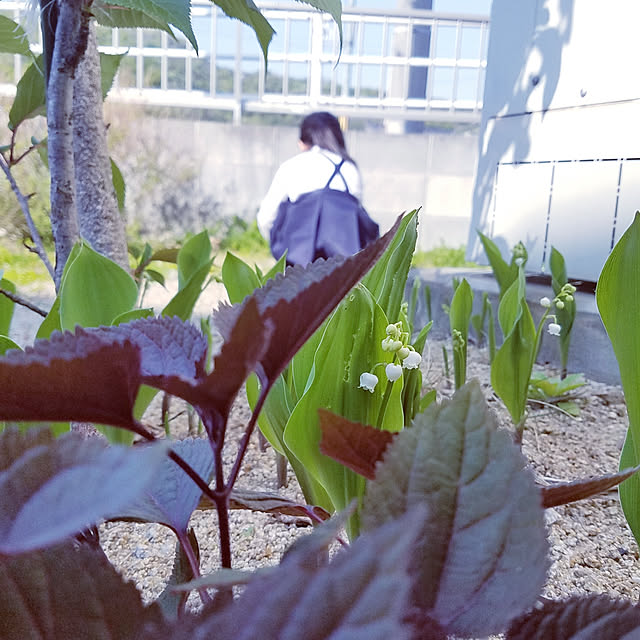 325unさんの実例写真