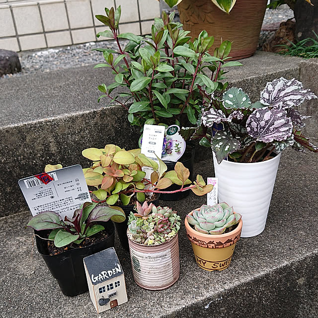 taeko0779さんの実例写真