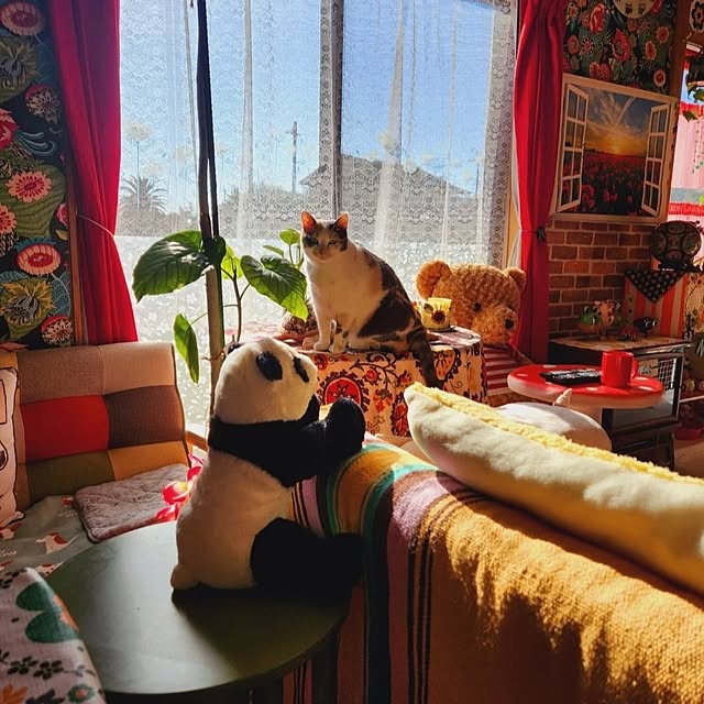 kumutanさんの実例写真