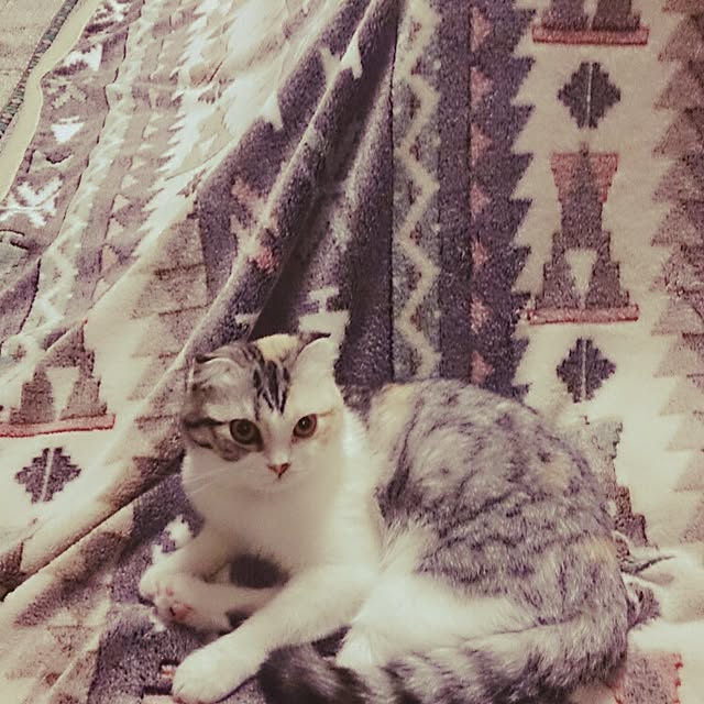 Sachiさんの実例写真