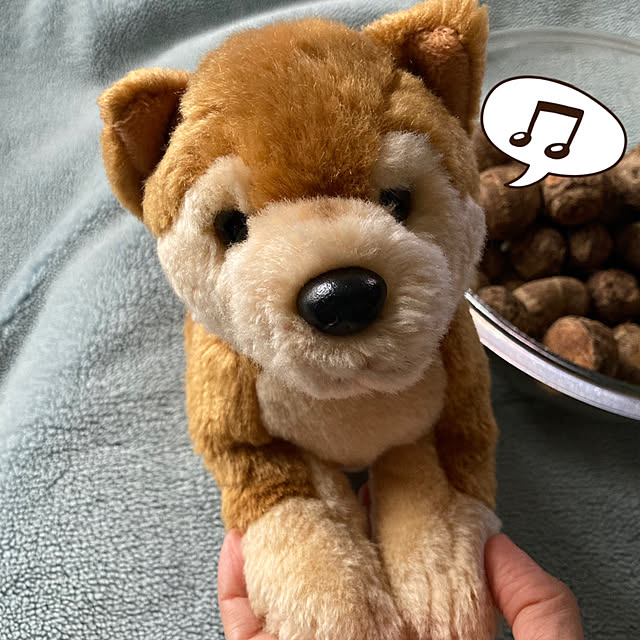 manduonmaさんの部屋
