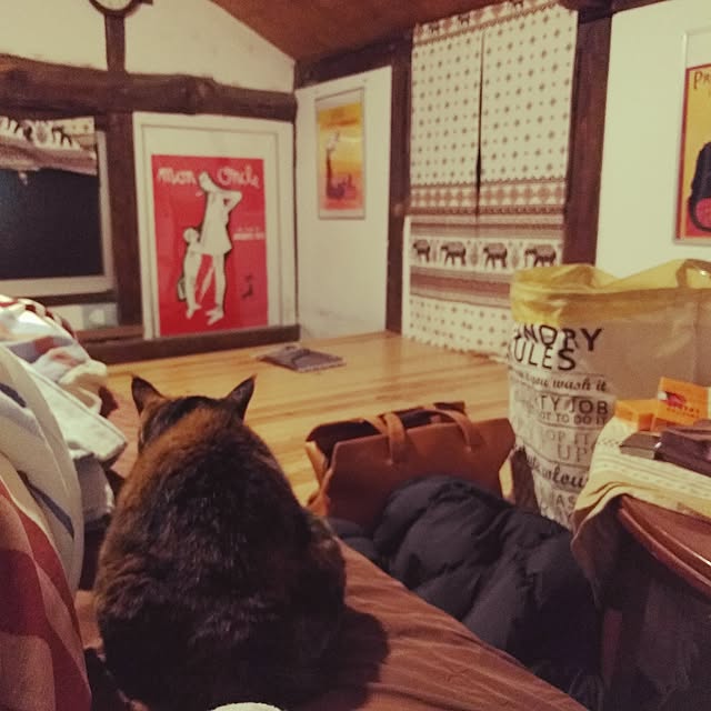 higemanさんの実例写真