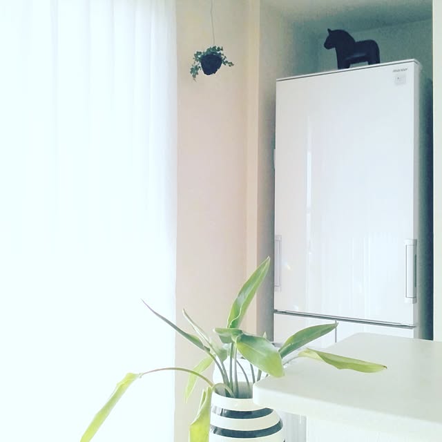fika_naeさんの実例写真