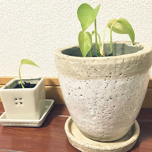 makooさんの実例写真