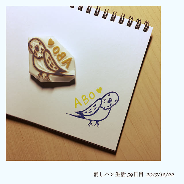 ray55さんの実例写真