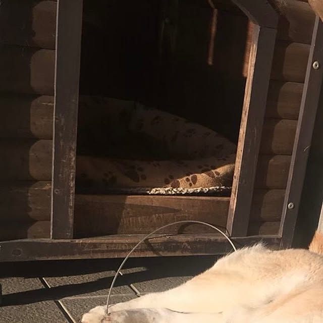 asuさんの部屋