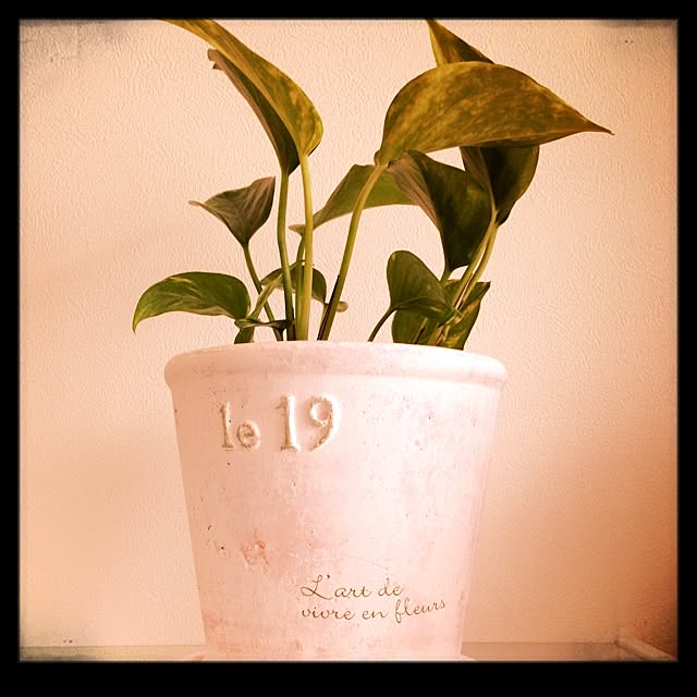 aiさんの実例写真