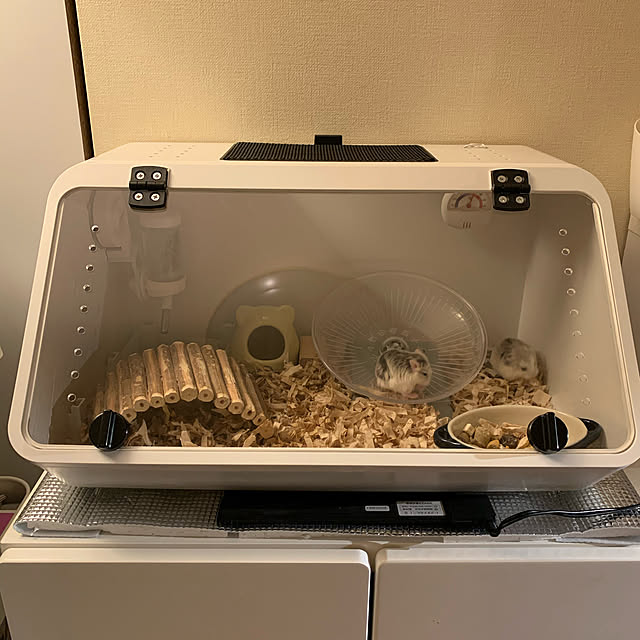 Rainyさんの実例写真