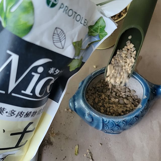tulipさんの部屋