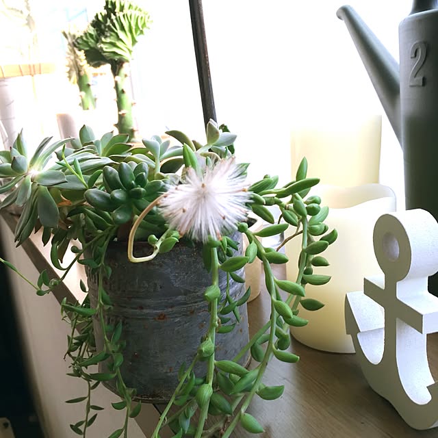 kaoru.m11さんの実例写真