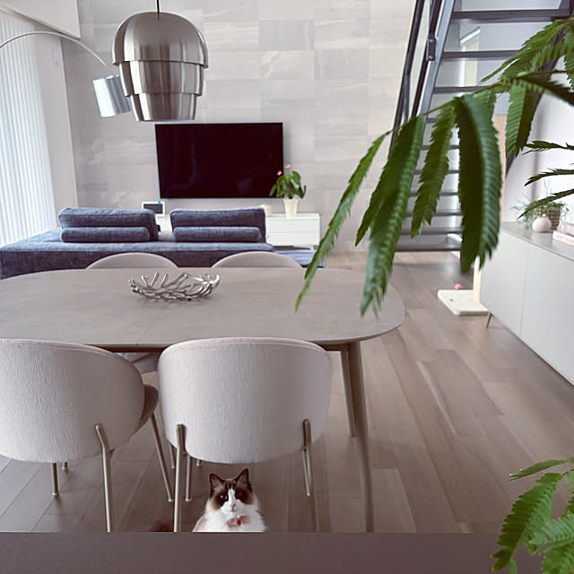 m.e.a.sさんの実例写真