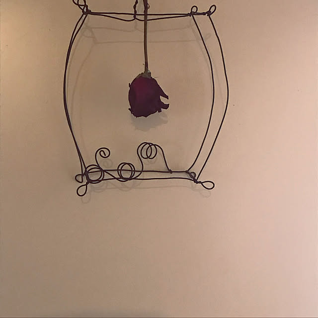 reeさんの実例写真