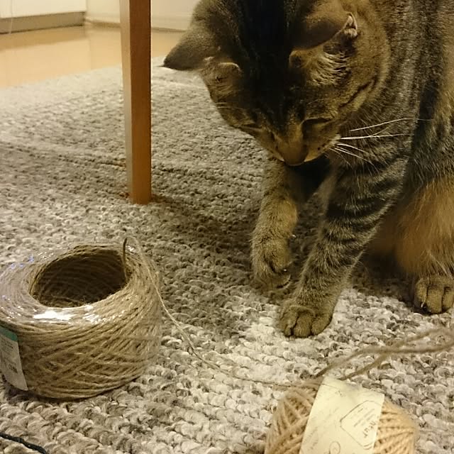 mono_plantさんの実例写真