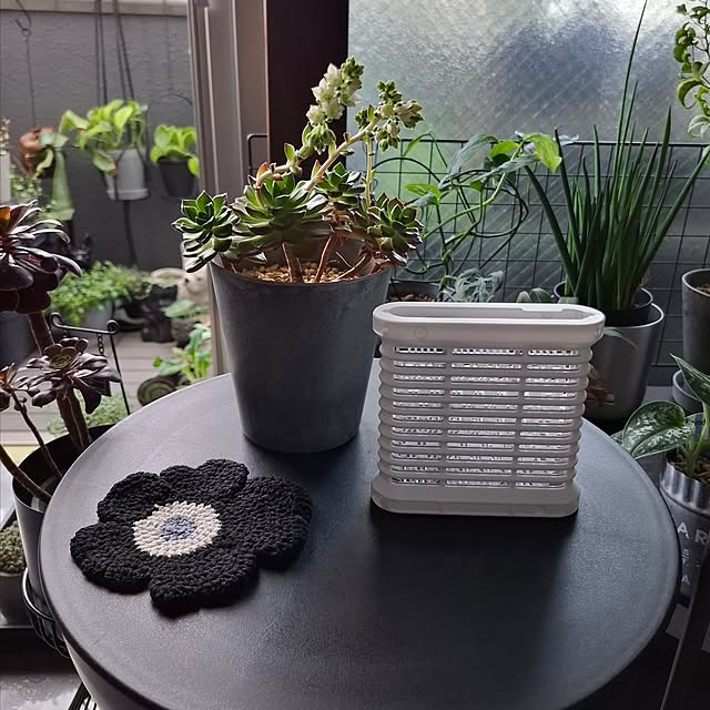 noaさんの実例写真