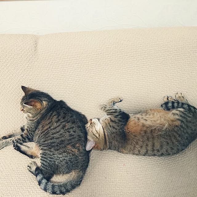 mama26さんの実例写真