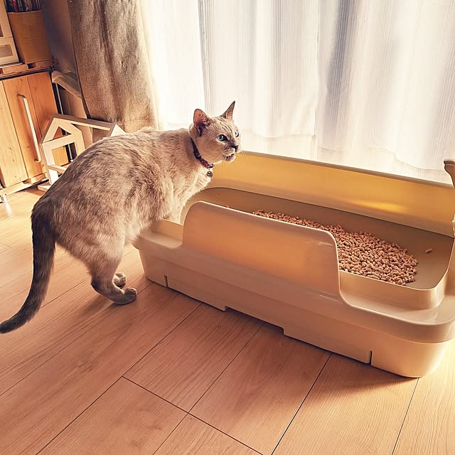 kiyohima229さんの部屋