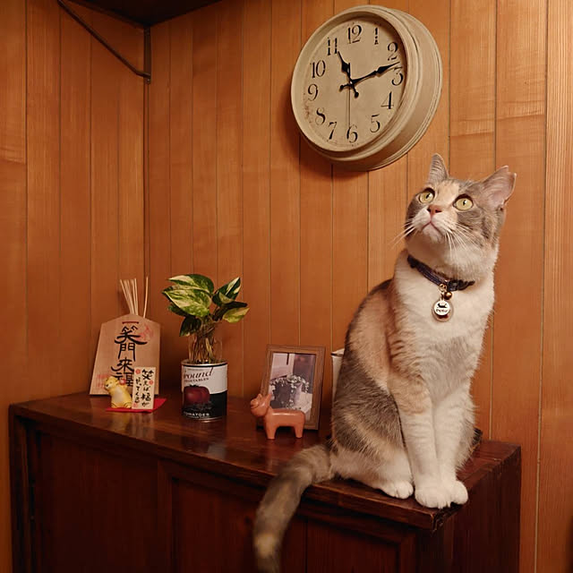 fukuさんの実例写真