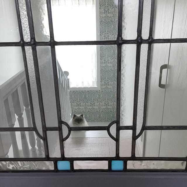yuchiさんの実例写真
